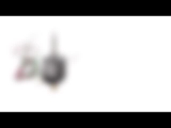 NEMA 8 Stepper διαμέτρων 20mm διπολική υβριδική μηχανή