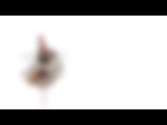 Stepper μαγνητών 10mm μίνι μόνιμη φάση μηχανών 5v 2 18 βαθμός